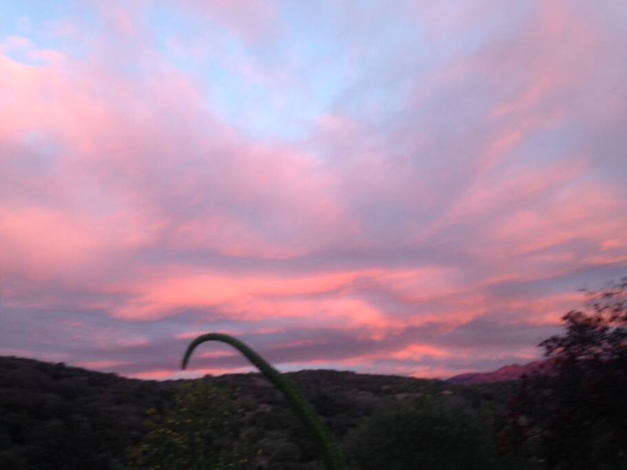 Unwind after a day of exploring Santa Barbara, hiking, wine tasting....