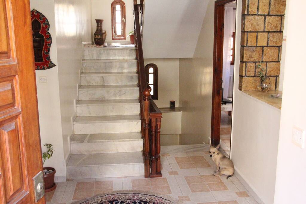 ENTRANCE HALLWAY