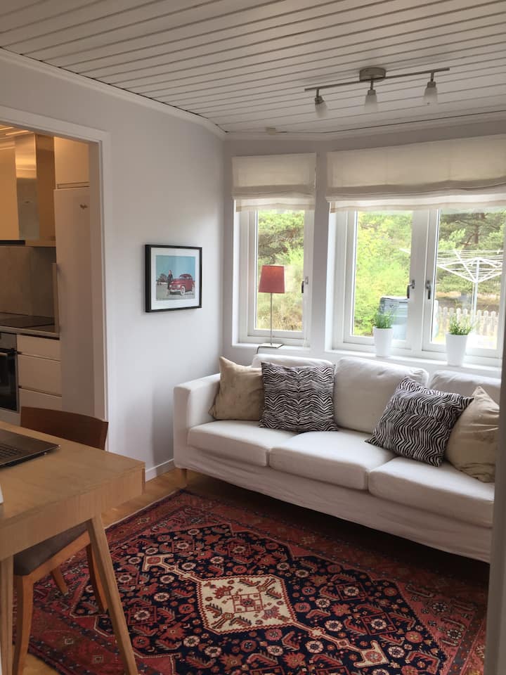 Top 12 Airbnb Vacation Rentals In Sandhamn, Sweden Updated 2024 Trip101