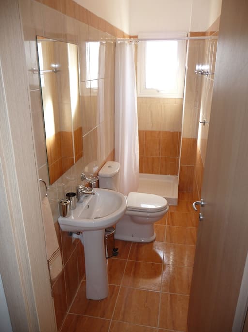 Bathroom with shower sink and WC