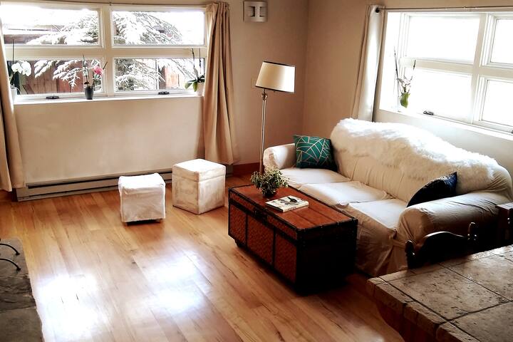 Heart of Aspen downtown + Free parking