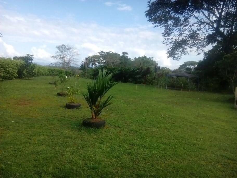 Zona Verde