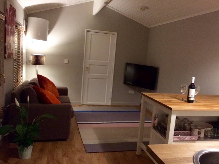 Pull out sofa bed & living area. Night time photo