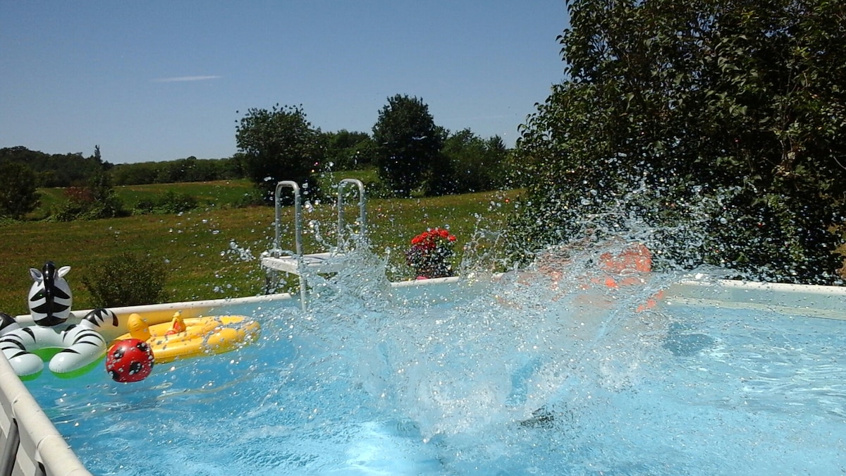 A private above-ground pool features crystal clear water, with visible splashes indicating recent activity. Colorful inflatable toys rest along the pool's edge, surrounded by lush green fields and trees in the background. A flower pot adds a touch of color to the serene setting.