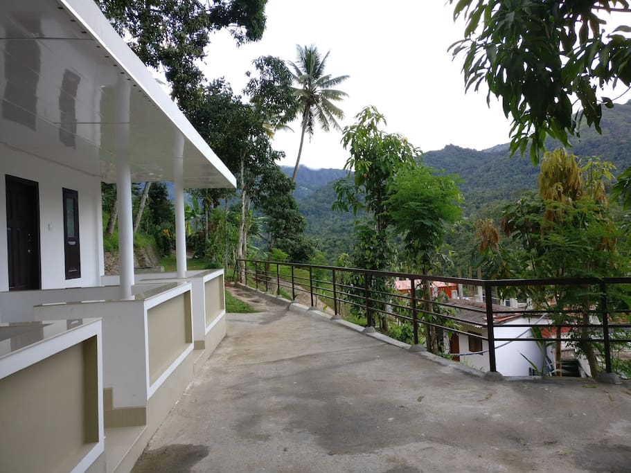 View from Porch