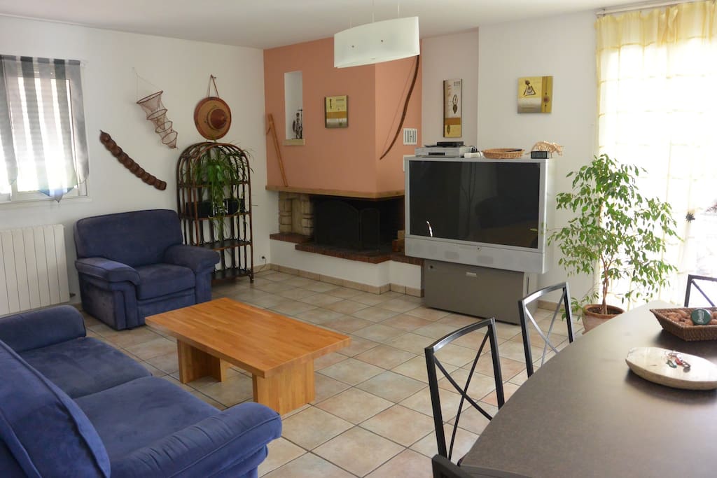 salon avec TV et cheminée