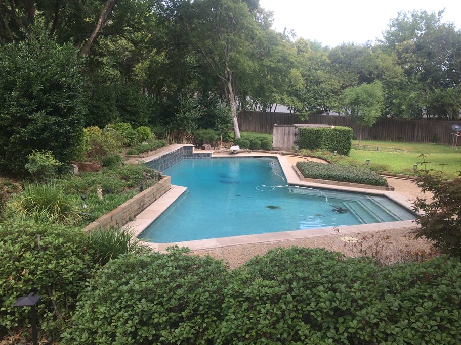 backyard pool available