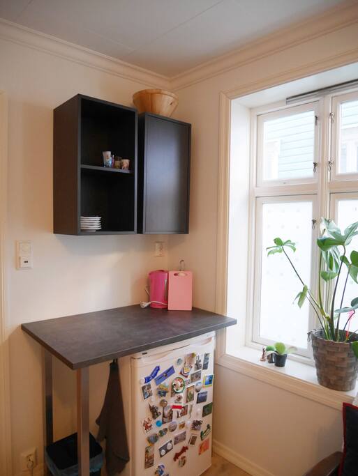 Fridge