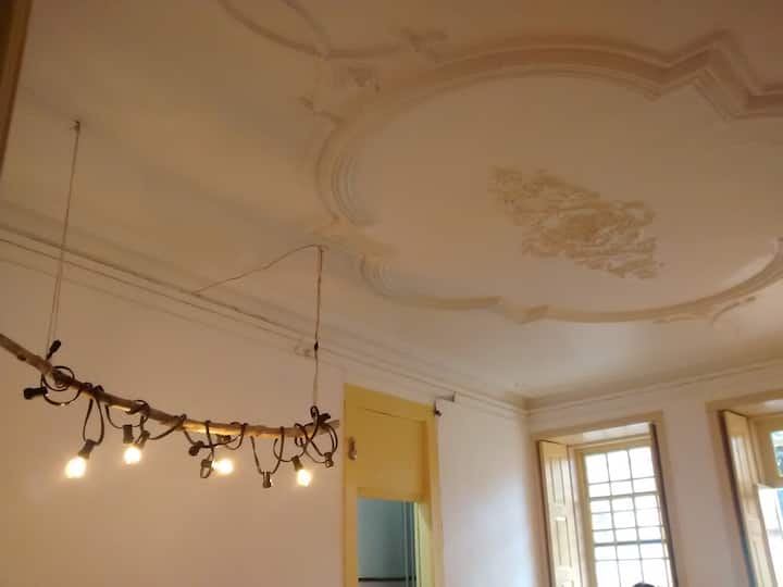 Vue sur le plafond en plâtre (stuc) et les lumières de la salle à manger

(espace ouvert occupé par le salon, la salle à manger et la cuisine)