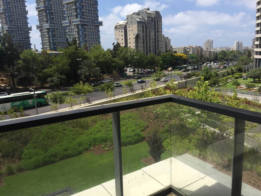 the view