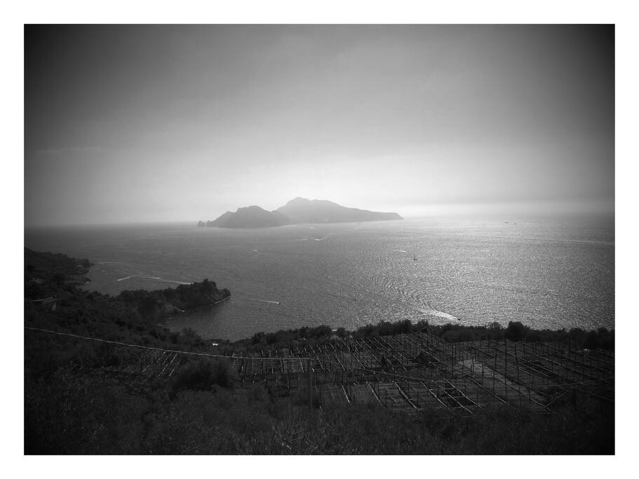 Capri B&W