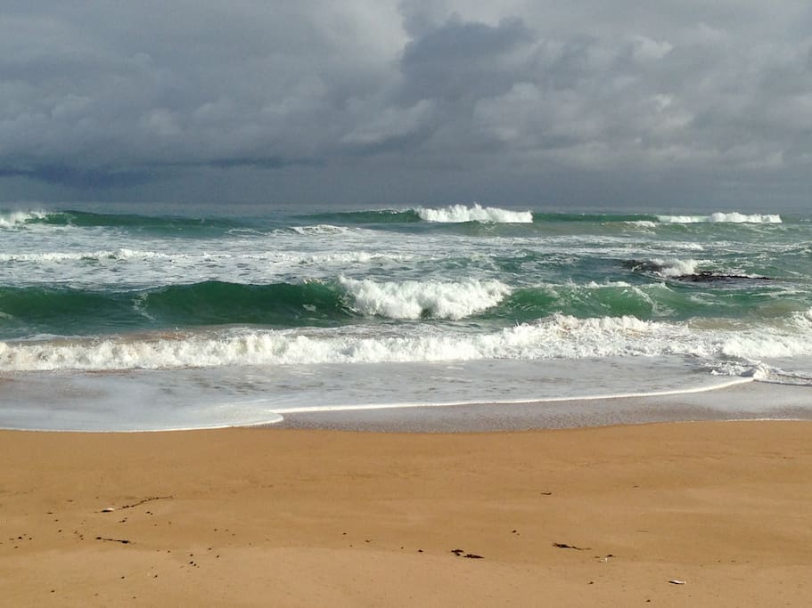 a wonderful coast,