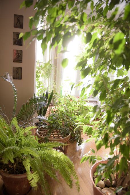 afternoon sun in the bedroom