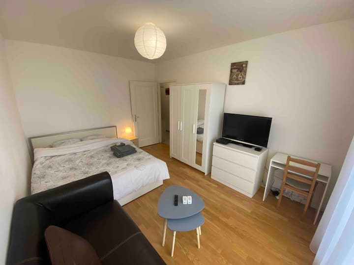 Nice 1BR apartment in the Genève-Nations area