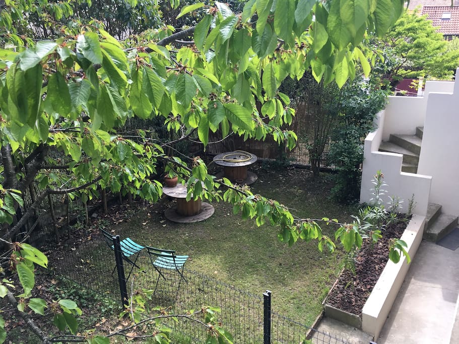 Vue sur le jardinet