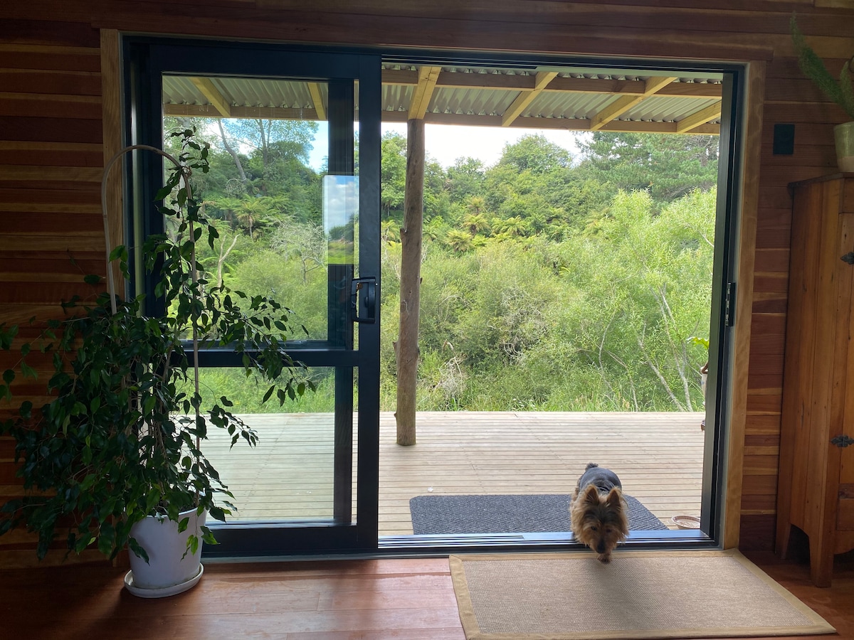 Zeppy the Australian terrier at Lone Oak Eco Cabin in Okoroire