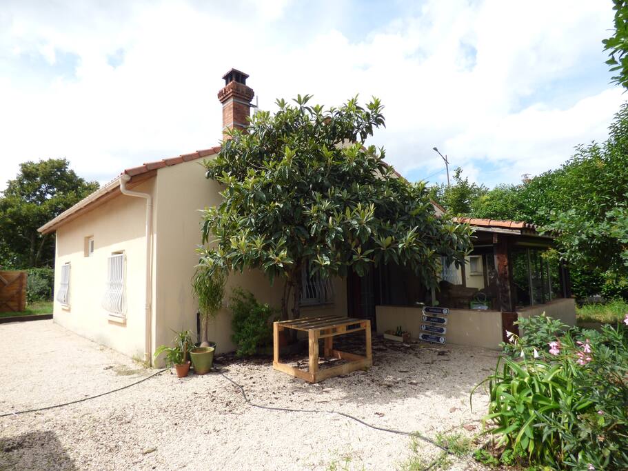the house