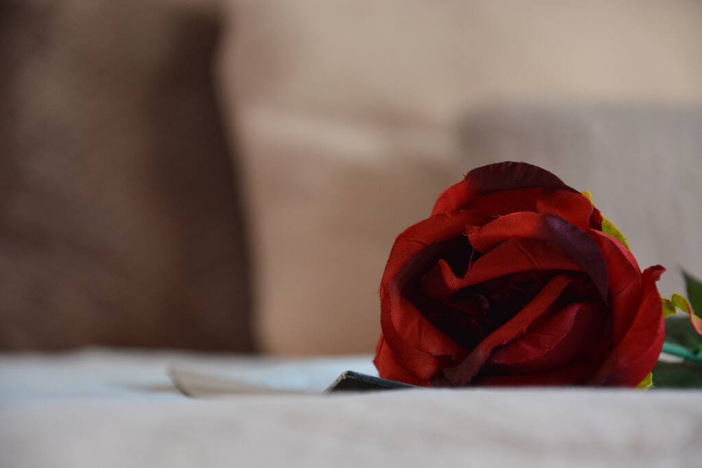 The Bedroom - Some details