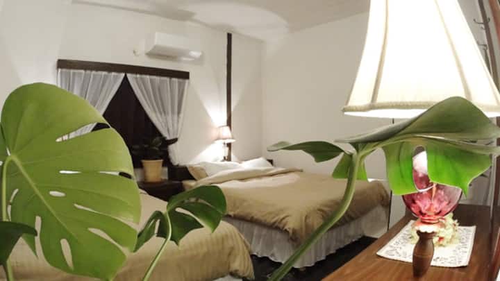 Стая за гости 2 има 2 двойни легла. Просторна главна спалня