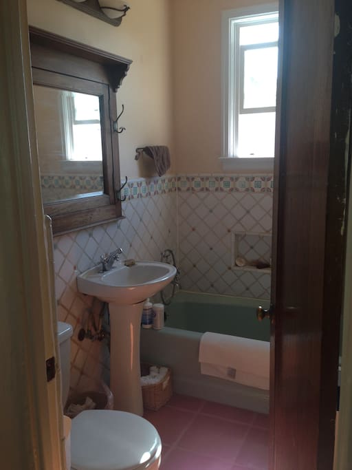 Bathroom, small shower behind door