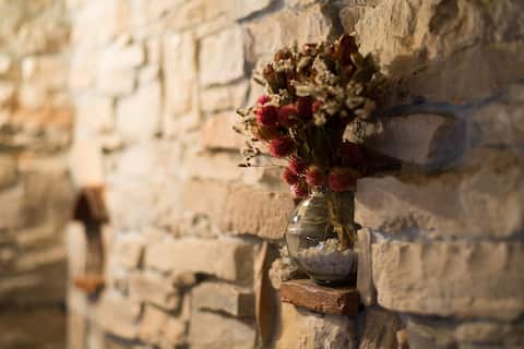 Top Airbnb: Relaxing vacations in Grad Umag
