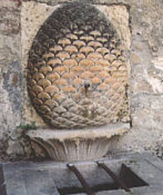 il simbolo della pigna