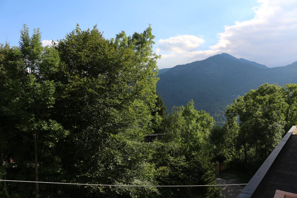 Panorama
