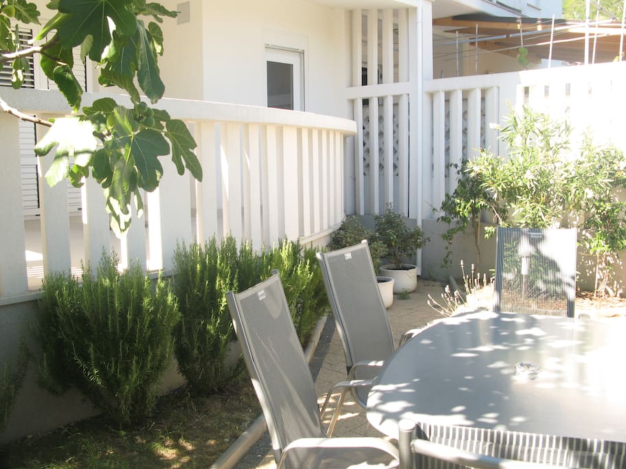 garden