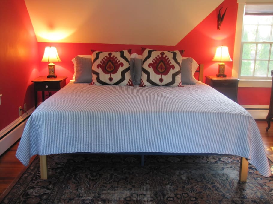 King bed in a spacious guest suite with walk in closet.