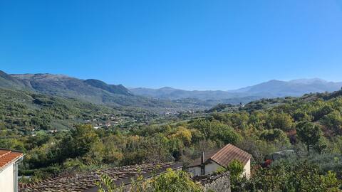 The Hill of Olives