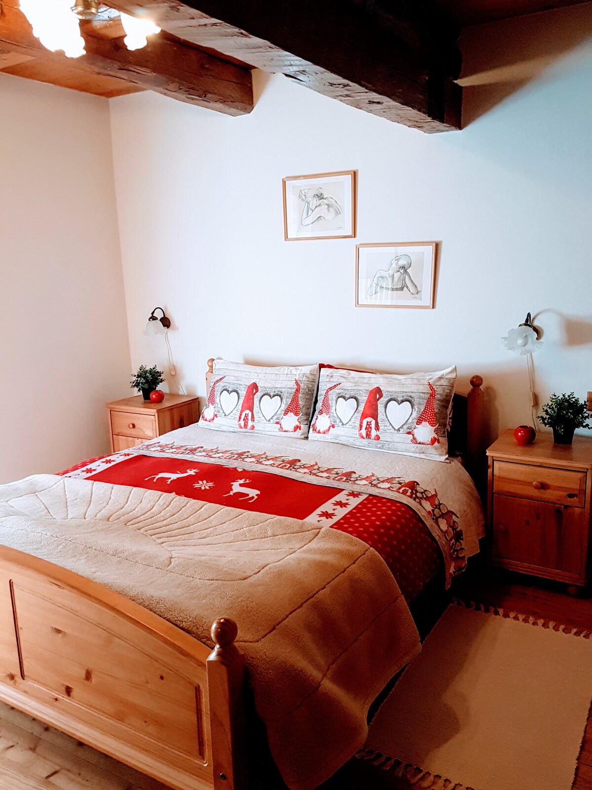 Izba s manželskou posteľou Queen č. 1