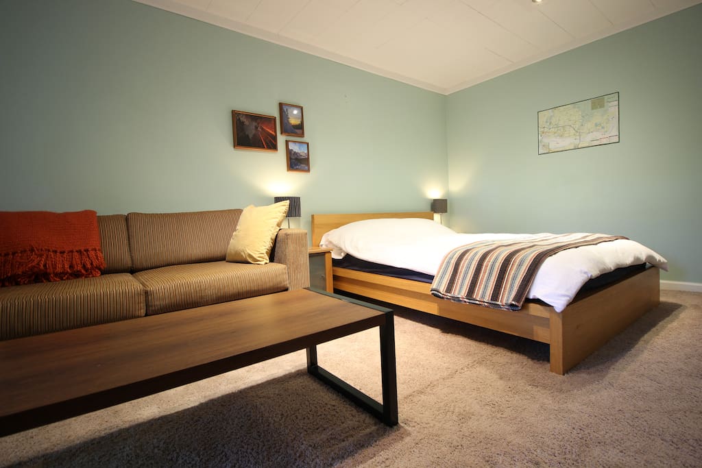 Bedroom and living room space