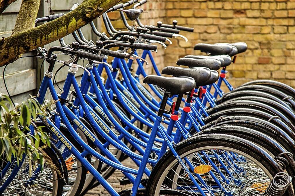 Bike (with lamps and helmets) included