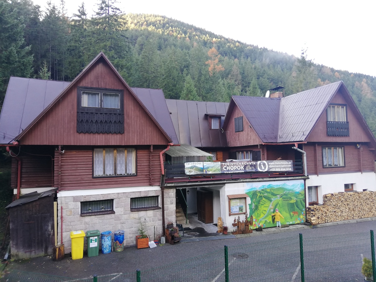 A large wooden chalet is situated amidst a forested area, featuring a sloped roof and dual gabled sections. The entrance is marked by a colorful mural and stacks of logs are neatly arranged nearby. Lush green hills rise in the background, combining nature with rustic charm.