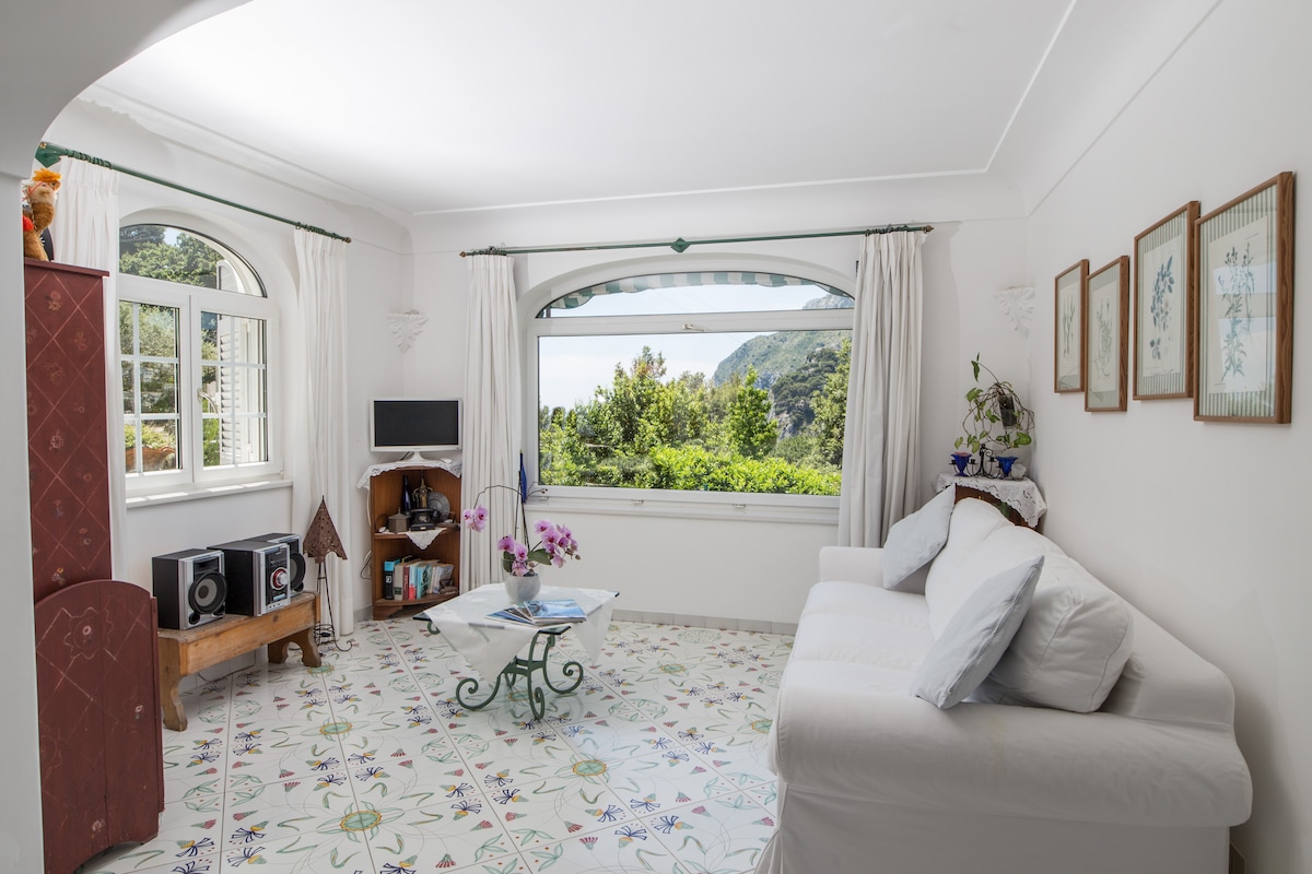Top performing Airbnb: CapriHoliday in Capri