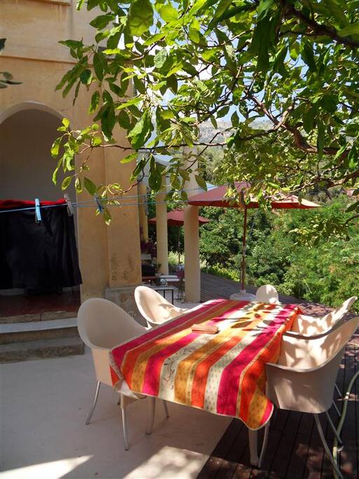 Terras