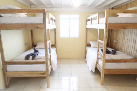 4-Bed Mixed Dorm Room with Breakfast @ Bira