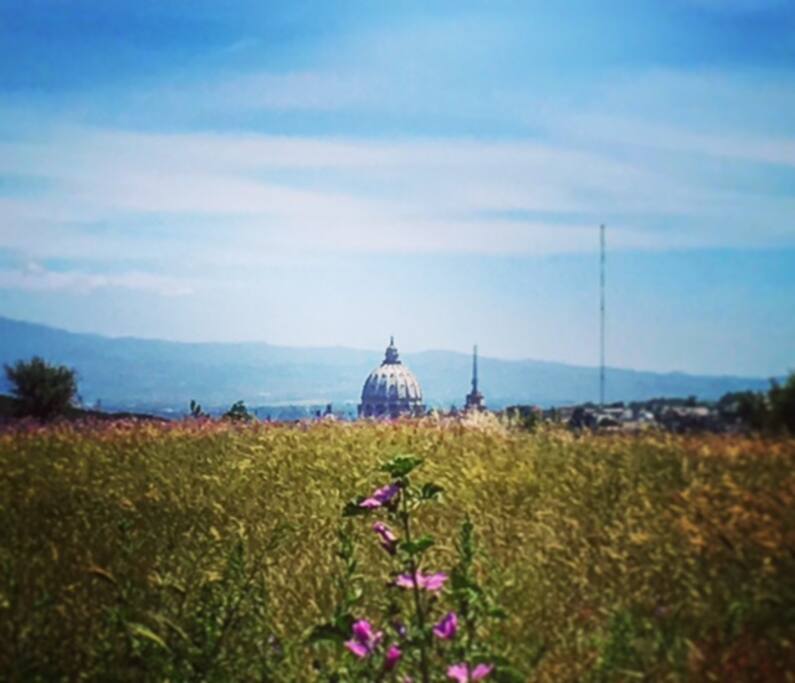 Parco del Pineto
a 5 min