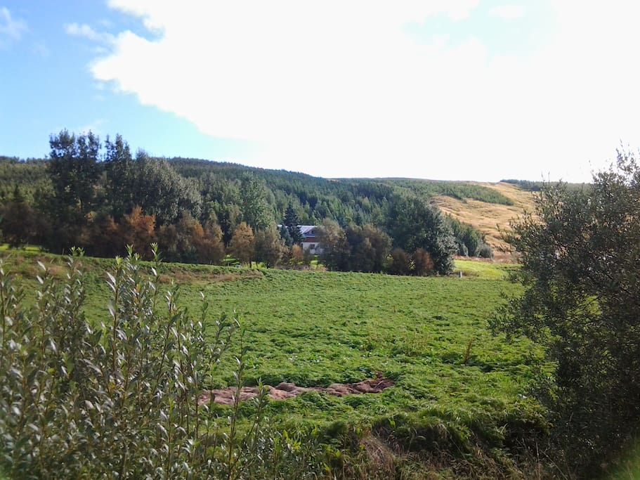 Quiet surrondings but 2 minutes from road 1