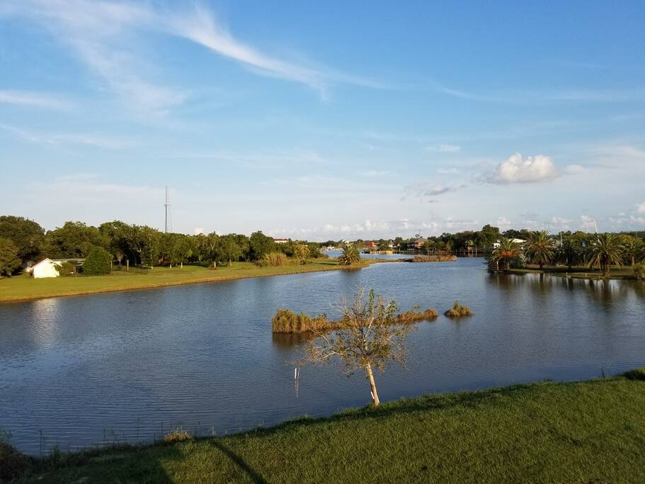 Deck view #2