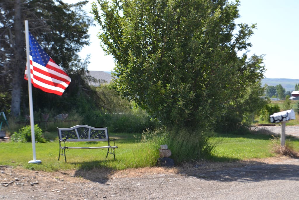 alongside the road