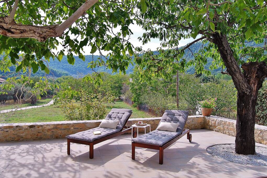 Front Patio Lounge/Dining Area