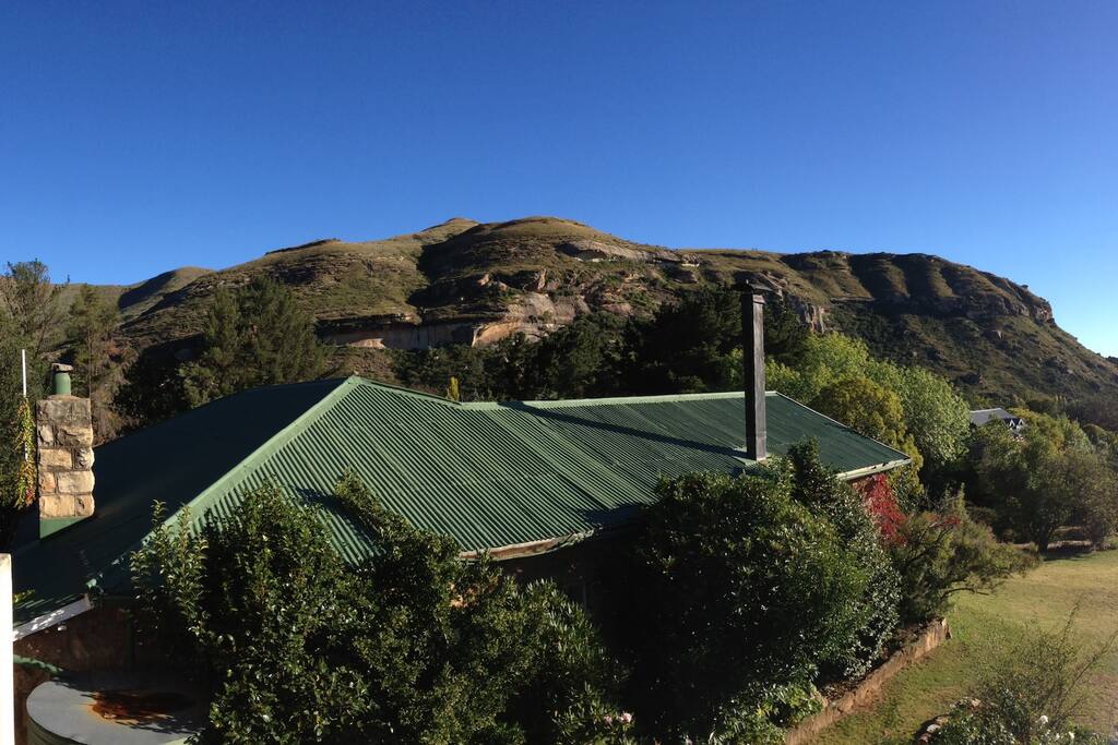 View from the Loft