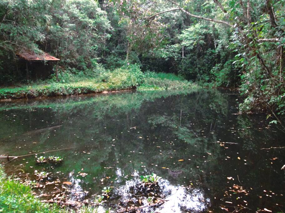 Açude com água cristalina de mina própria