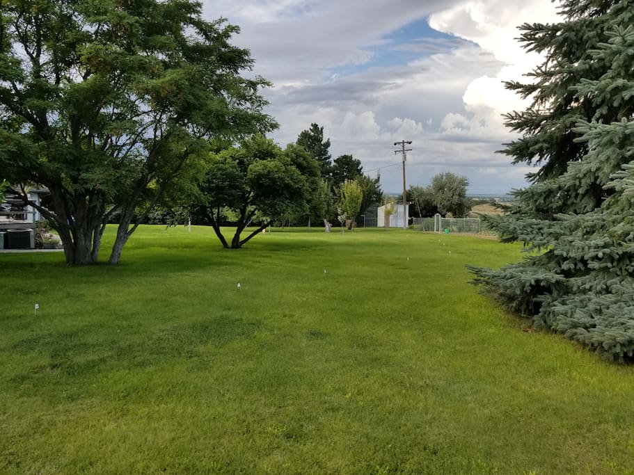 Country View