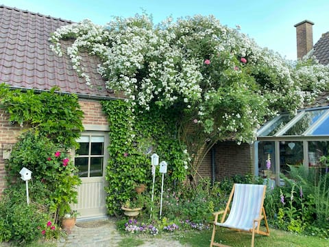 At Anne and Patrick's