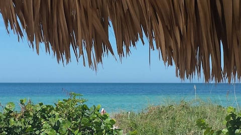 Tranquility directly on the Beach with Gulf view