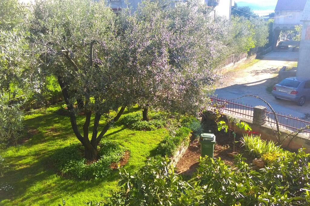 View from the terrace