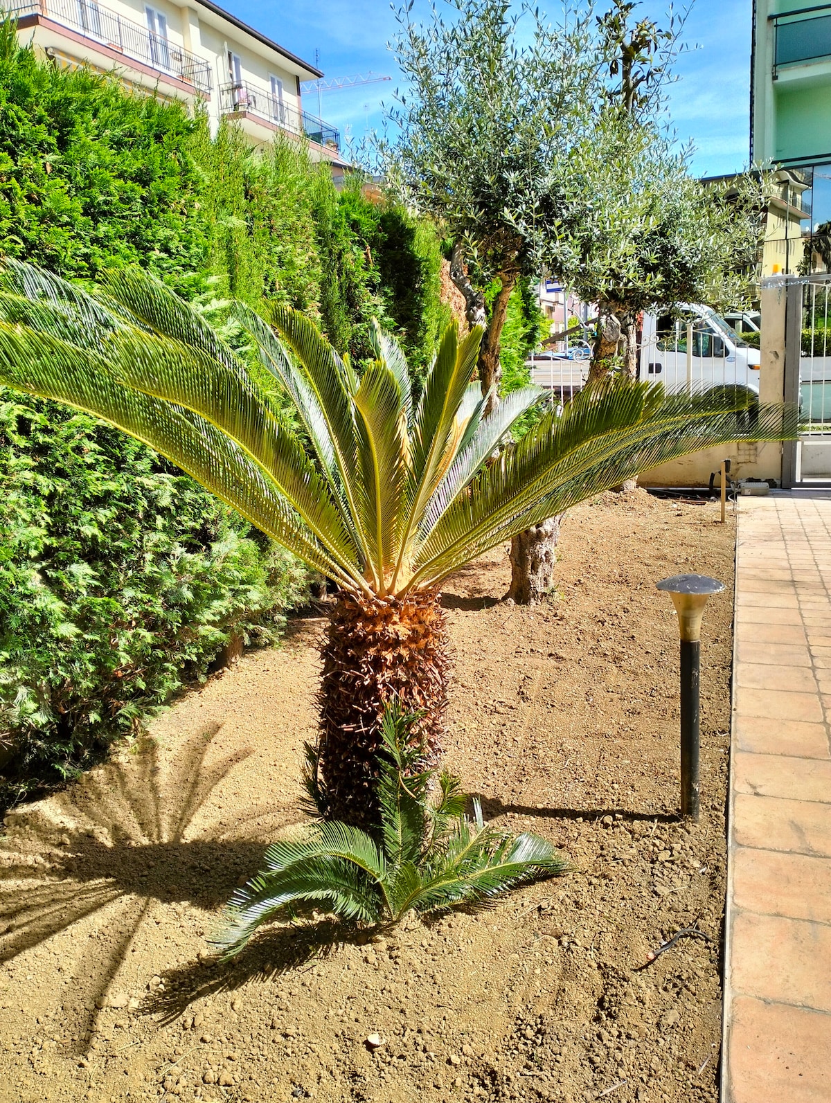 A landscaped garden area features a lush palm tree surrounded by well-maintained greenery. Natural light casts distinct shadows on the ground, revealing the meticulous care of the outdoor space. A stone pathway and garden lights enhance the inviting atmosphere.