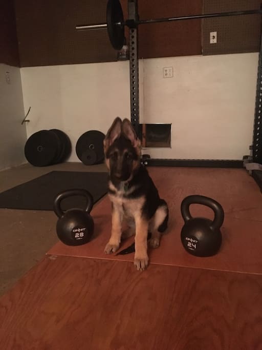 Ru in the available gym